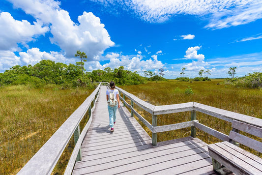 13 Ultimate Florida Adventures You’ll Remember for a Lifetime