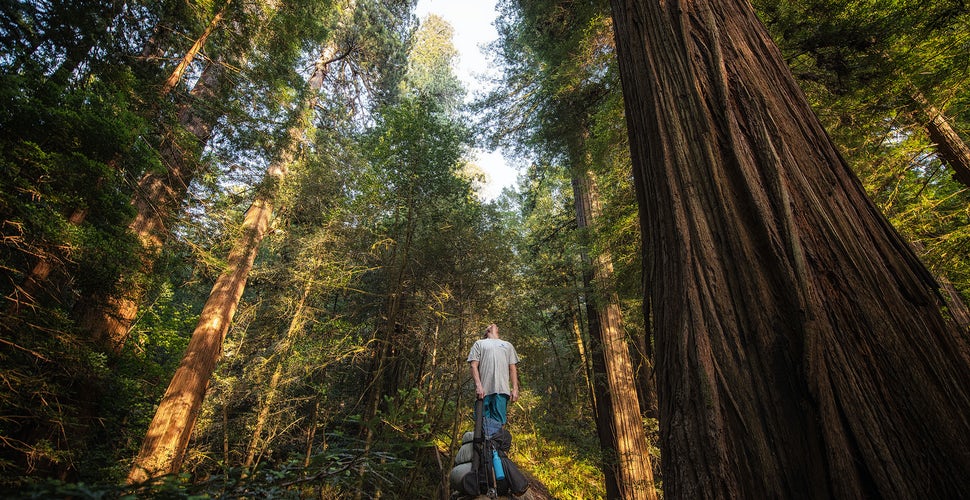 25 Amazing Adventures For Your California Bucket List