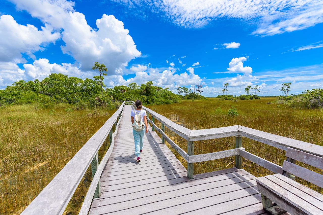 13 Ultimate Florida Adventures You’ll Remember for a Lifetime