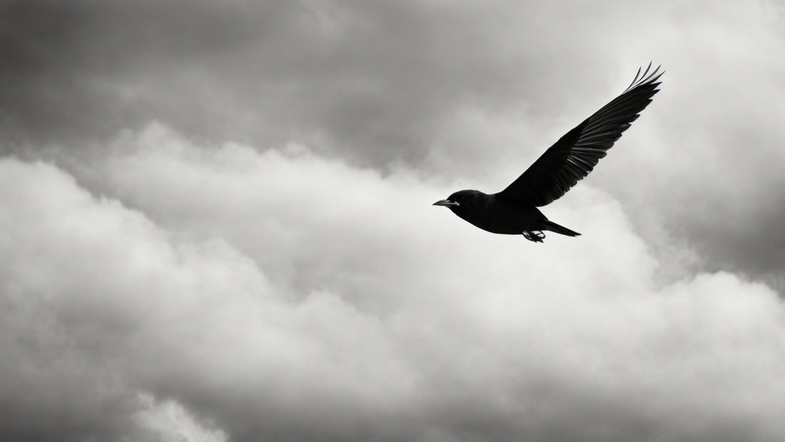 The Art of Escaping: How to Disconnect and Recharge