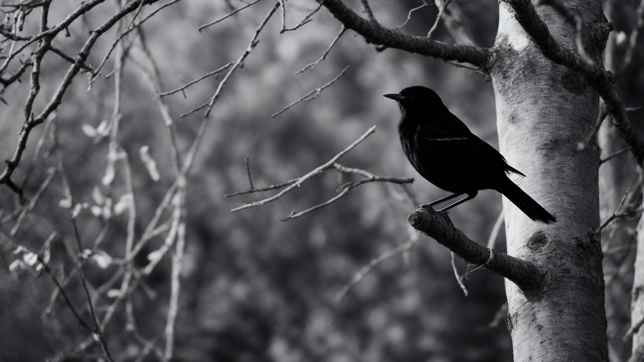 Local Escapes: Discovering Hidden Gems in Your Hometown